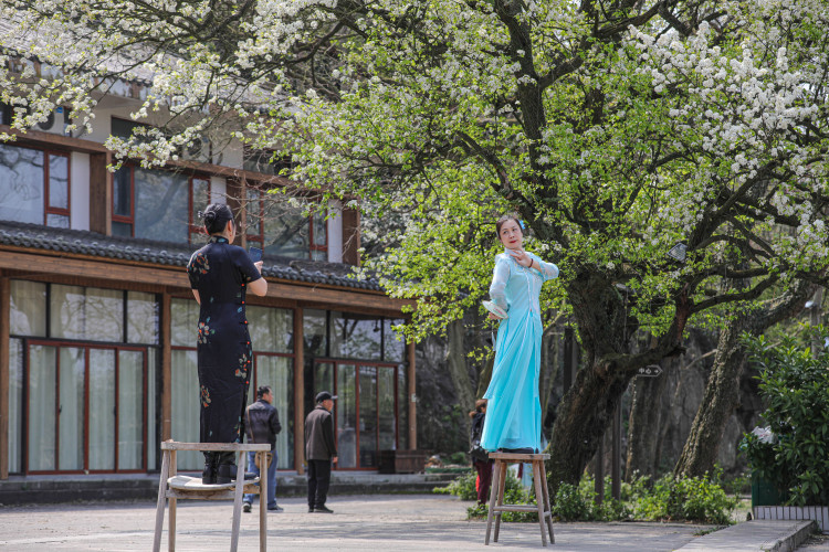 桂林灵川：梨花似雪香满径 游人如织醉春风_fororder_3