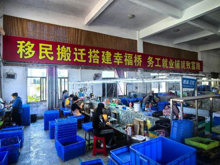 广西织密就业服务“保障网” 就业形势“量质齐升”_fororder_5