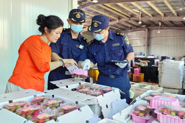 广西首批16.3吨荔枝抢“鲜”出海_fororder_1