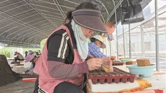 荒地“长”出种苗工厂