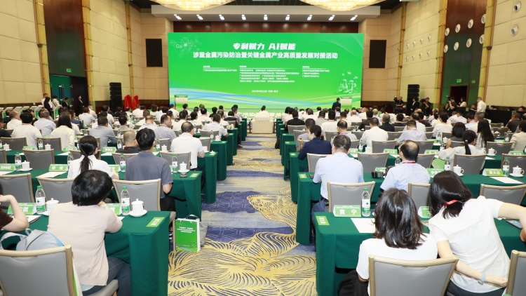 广西开展涉重金属污染防治暨关键金属产业高质量发展对接活动_fororder_1
