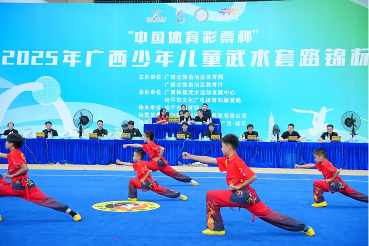 2025年广西少年儿童武术套路锦标赛收官_fororder_新闻稿-圆满收官(1)281
