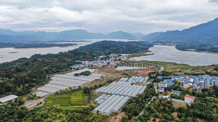 桂林灵川：“颜值”变“产值” “美丽经济”激活乡村发展新动能_fororder_2