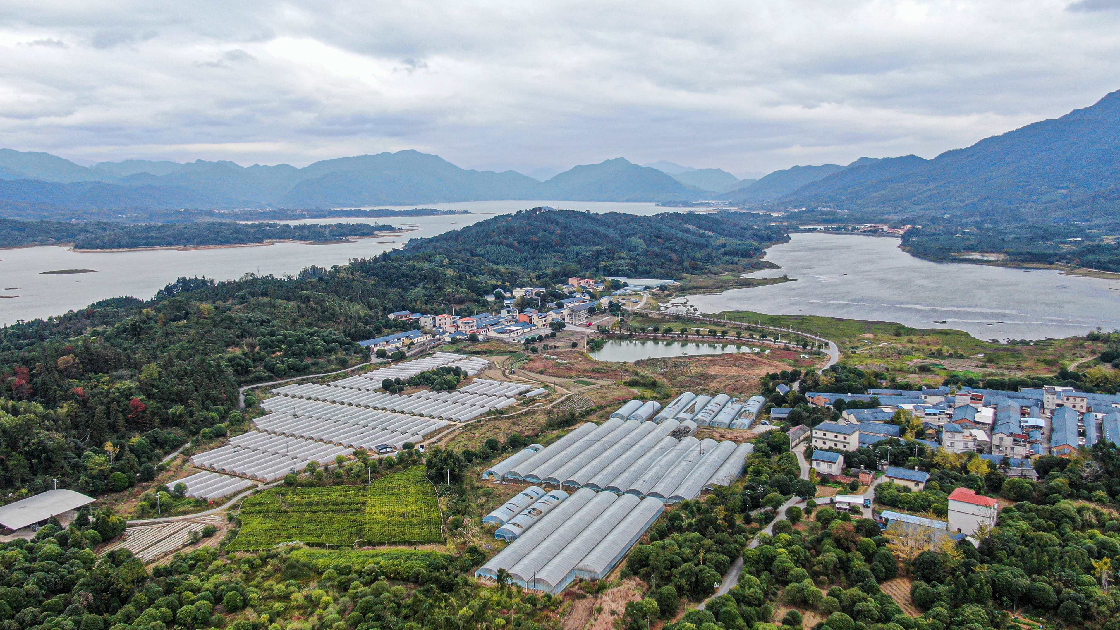 桂林灵川：“颜值”变“产值” “美丽经济”激活乡村发展新动能_fororder_2