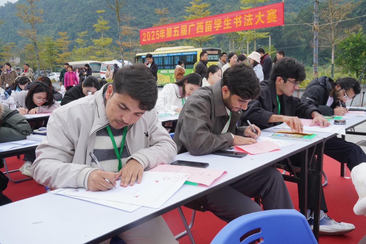 15国留学生齐聚广西凤山 笔墨传情演绎中华书法之美