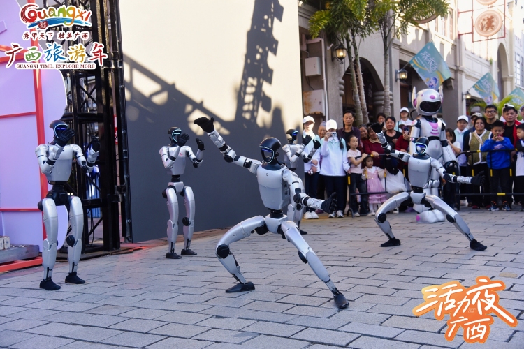 2025“活力夜广西”百色主场活动点亮“千姿百色夜”_fororder_5