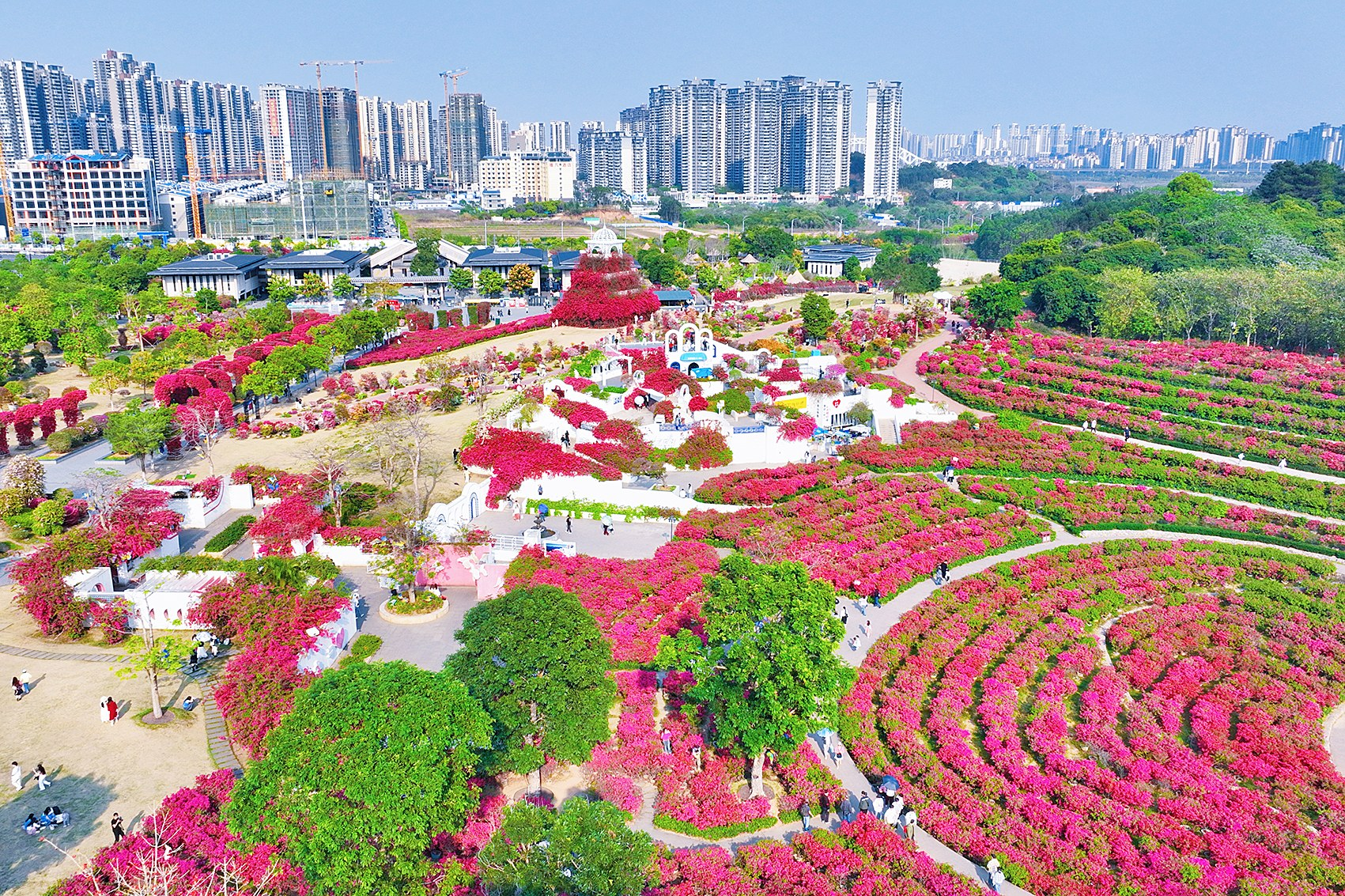 踏青赏花不负春光 文旅消费热力十足_fororder_c4ca4238a0b923820dcc509a6f75849b_img_335_963_339_226