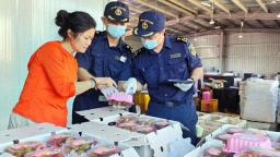 广西首批16.3吨荔枝抢“鲜”出海