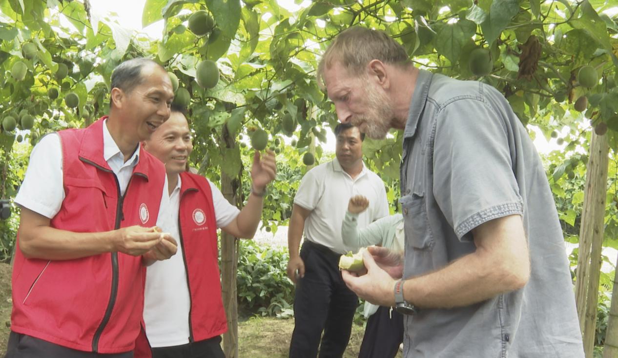 桂林临桂：农学博士“送技下乡”赋能乡村振兴_fororder_2