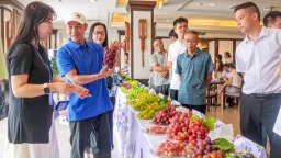 2026年广西兴安葡萄产业推介暨宣传推广活动举办