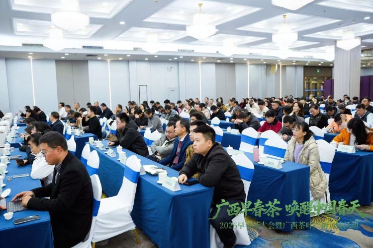 全国茶商汇聚南宁品茗广西早春茶 多项长期产销合作协议促成_fororder_1