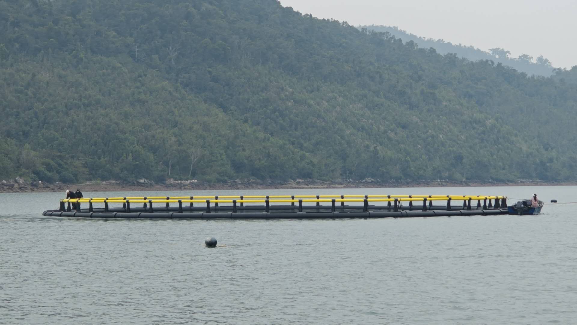 广西AI赋能越南渔业发展 下龙湾首个智慧深水网箱建成下水_fororder_2