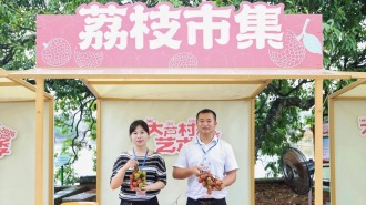 2026年灵山大芦村文化艺术季收官