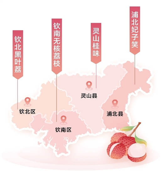 最是荔红诱人时，愿风吹你到钦州