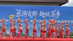梧州苍梧：游客品茶香看非遗“解锁”文旅新体验