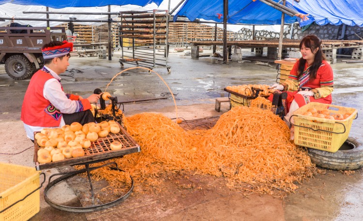 广西平乐：柿红景美产业兴_fororder_2