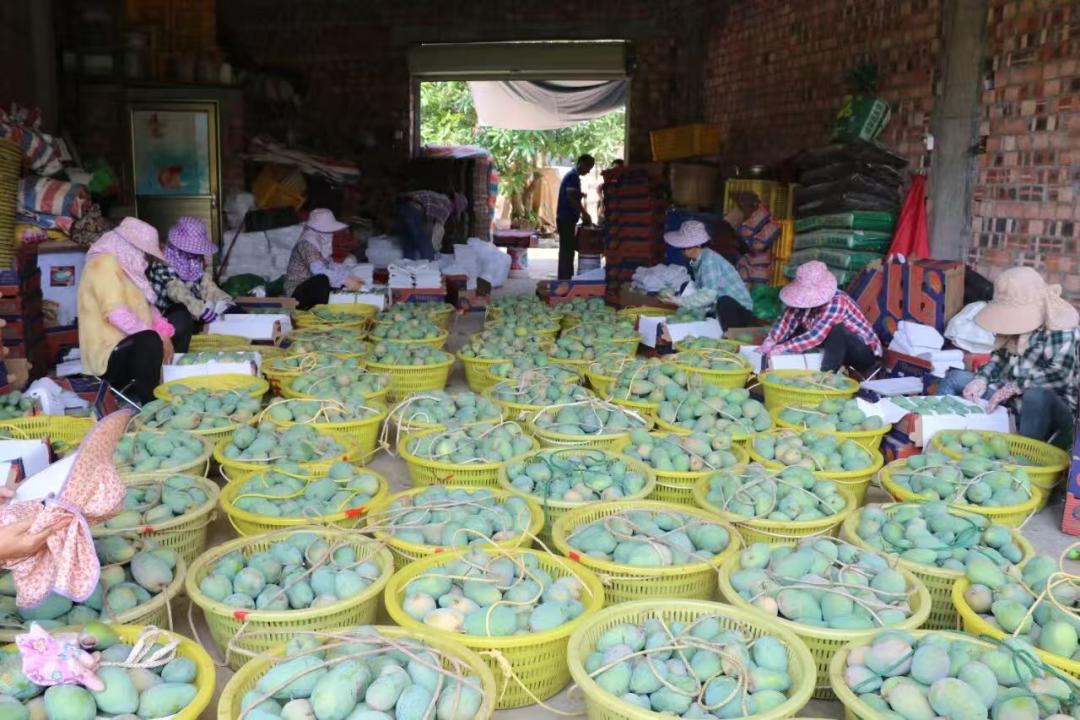 广西将首次以省级展团形式参展 向全球客商推介“桂字号”优品_fororder_2