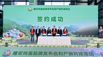隆安“那乡土”鸡蛋品牌对外发布