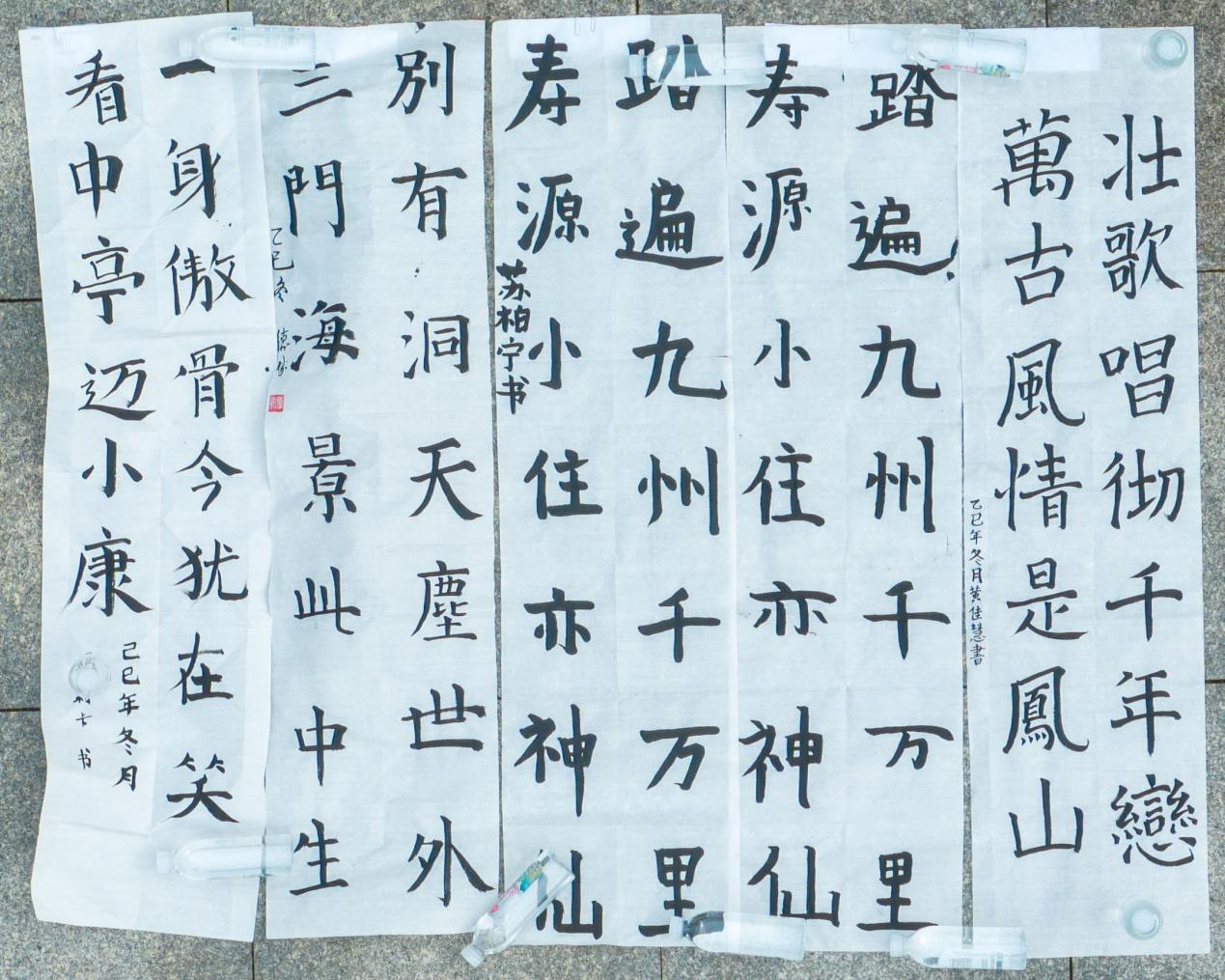 15国留学生齐聚广西凤山 笔墨传情演绎中华书法之美