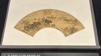 82件明清扇面艺术瑰宝在广西博物馆展出
