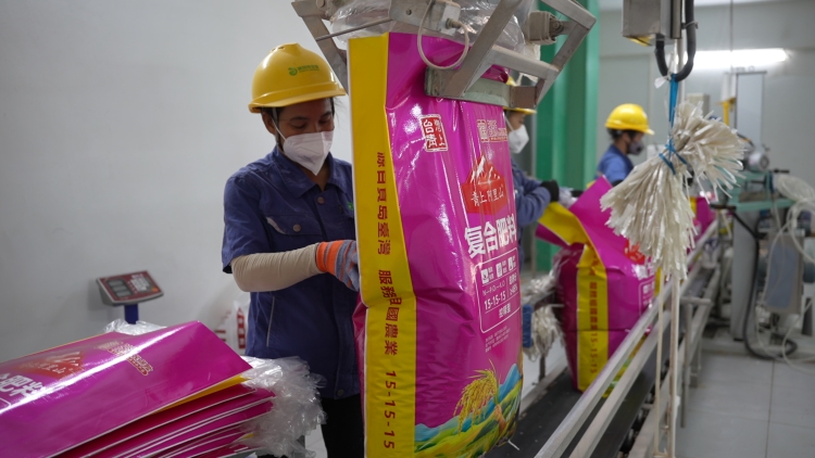 广西兴业：化肥企业生产忙 不误农时保春耕_fororder_图3 工人正在打包化肥 陈秋利摄 