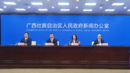 崇左市全年外贸进出口总额预计将达2700亿元