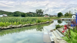 广西鹿寨：千年古镇破译依渡而兴的“土地密码”