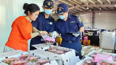 广西首批16.3吨荔枝抢“鲜”出海