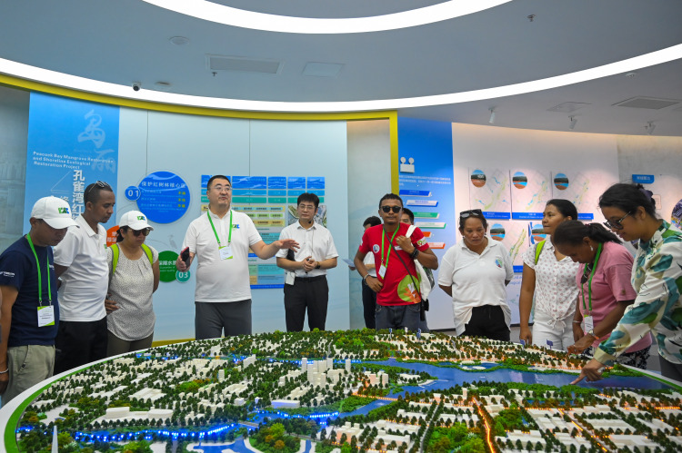 国际红树林中心2025年第一期红树林保护修复能力建设研讨班在广西钦州开展现场教学_fororder_1