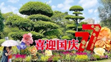 繁花锦绣添喜气 盛景芳华迎国庆