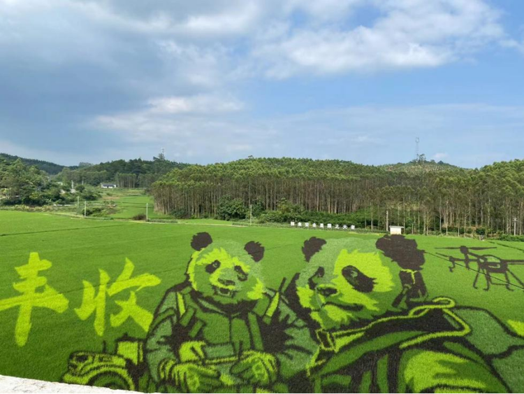 万千气象看广西｜税惠政策助推广西农业强区建设