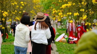 桂林市会仙镇举办开耕文化季活动