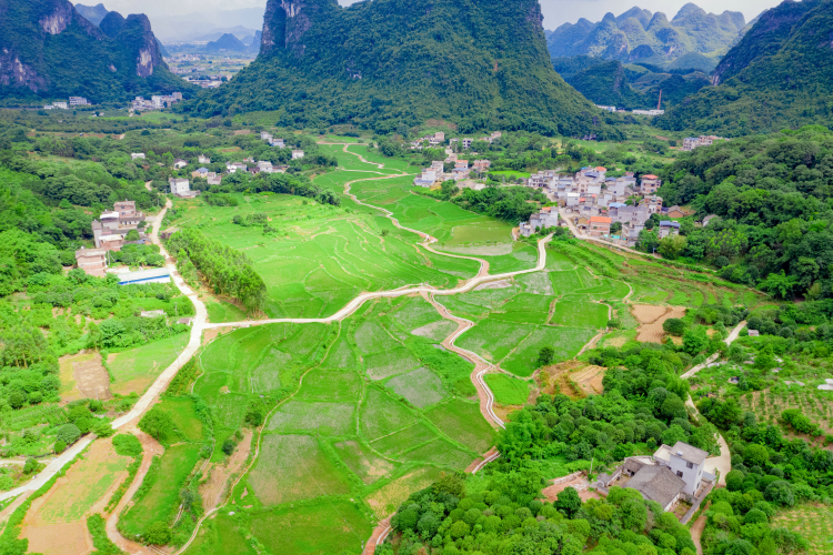 “直补+奖补”双模式赋能 广西明确“十五五”国土空间生态修复资金支持政策_fororder_1