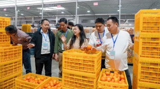 50位采购商溯源“八桂优果” 产销对接助力“桂果出海”