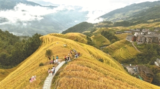八桂好“丰”景 惹得游人醉