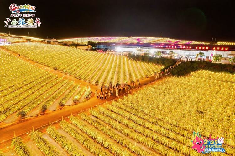 2025广西乡村旅游嘉年华活动在南宁隆安县举办_fororder_2