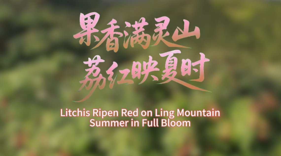 鲜味中国 四季农香|果香满灵山 荔红映夏时_fororder_微信图片_20250620114214