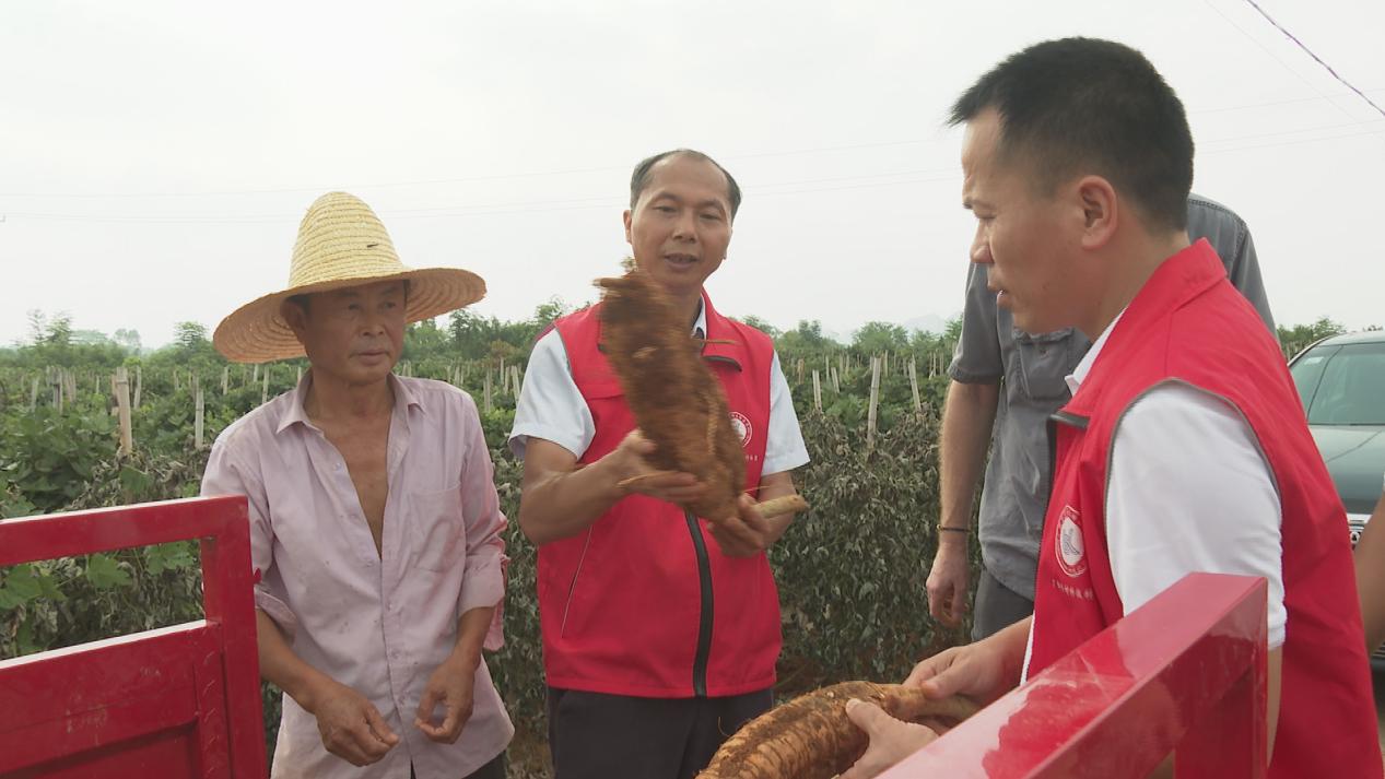 桂林临桂：农学博士“送技下乡”赋能乡村振兴_fororder_1