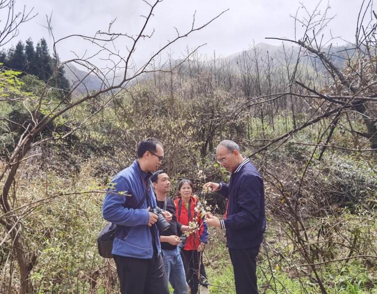 广西已建成林草种质资源库41处 拥有全国最大的桉树基因库_fororder_3