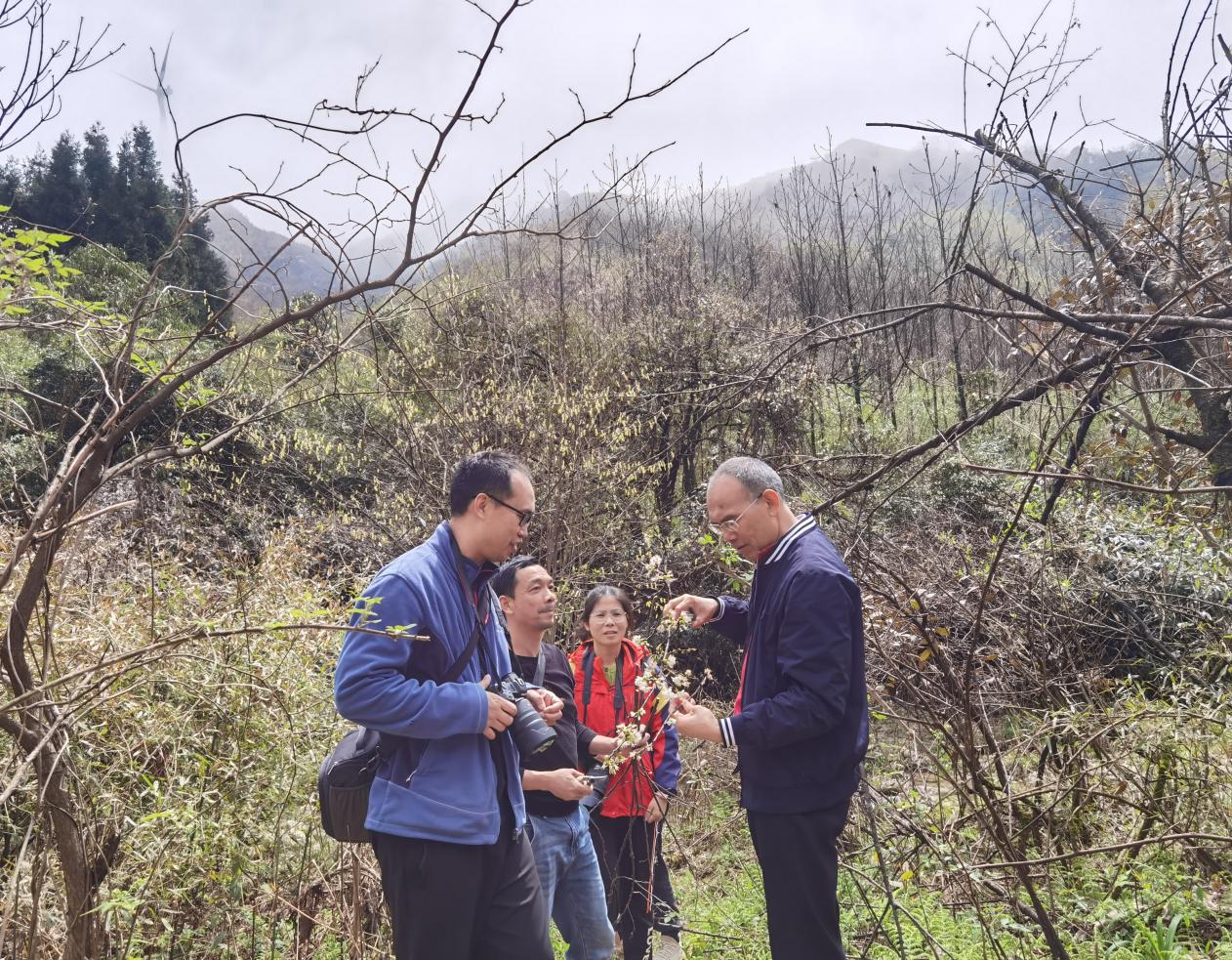 广西已建成林草种质资源库41处 拥有全国最大的桉树基因库_fororder_3