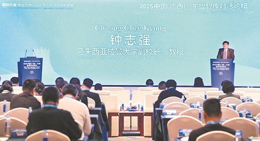 2025中国(广西)—东盟智库对话论坛凝聚发展共识