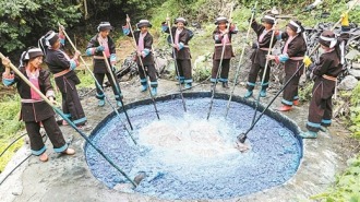 一池靛蓝为乡村增色添彩