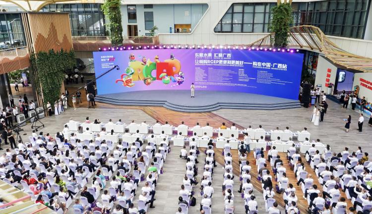 广西打造东盟水果进入中国的“门户枢纽”_fororder_1