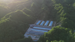 河北阜平：马术串起红旅生态 乡村文旅跑出发展新速度