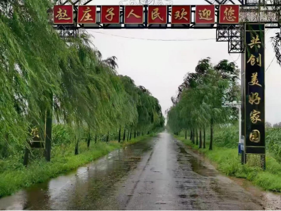 783个省级和美乡村“扮靓”沧州城乡