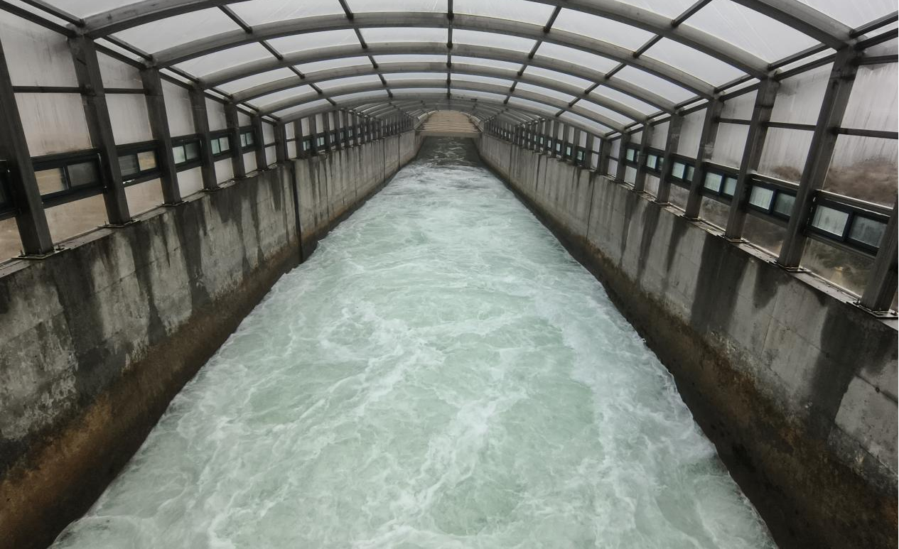 保定徐水区：南水北调中线西黑山枢纽见证“千里江水至此分流”