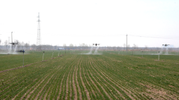 河北献县：无人机飞防提升春季农业生产效能