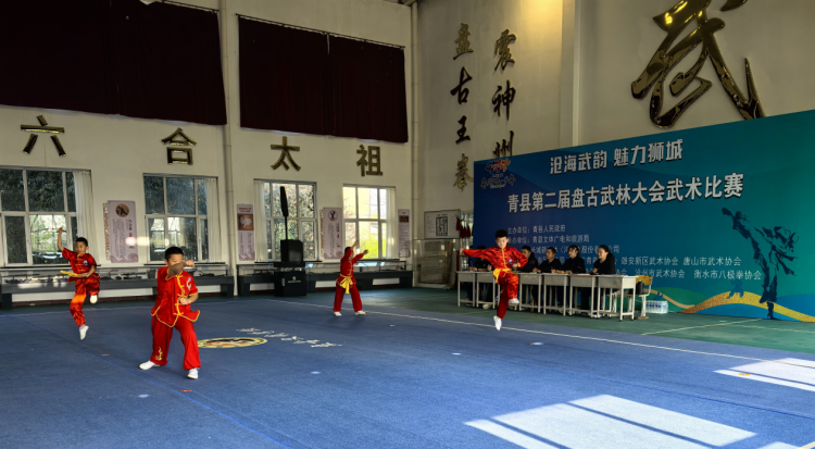 河北青县：以武会友展风采 文化传承启新篇​_fororder_图片2