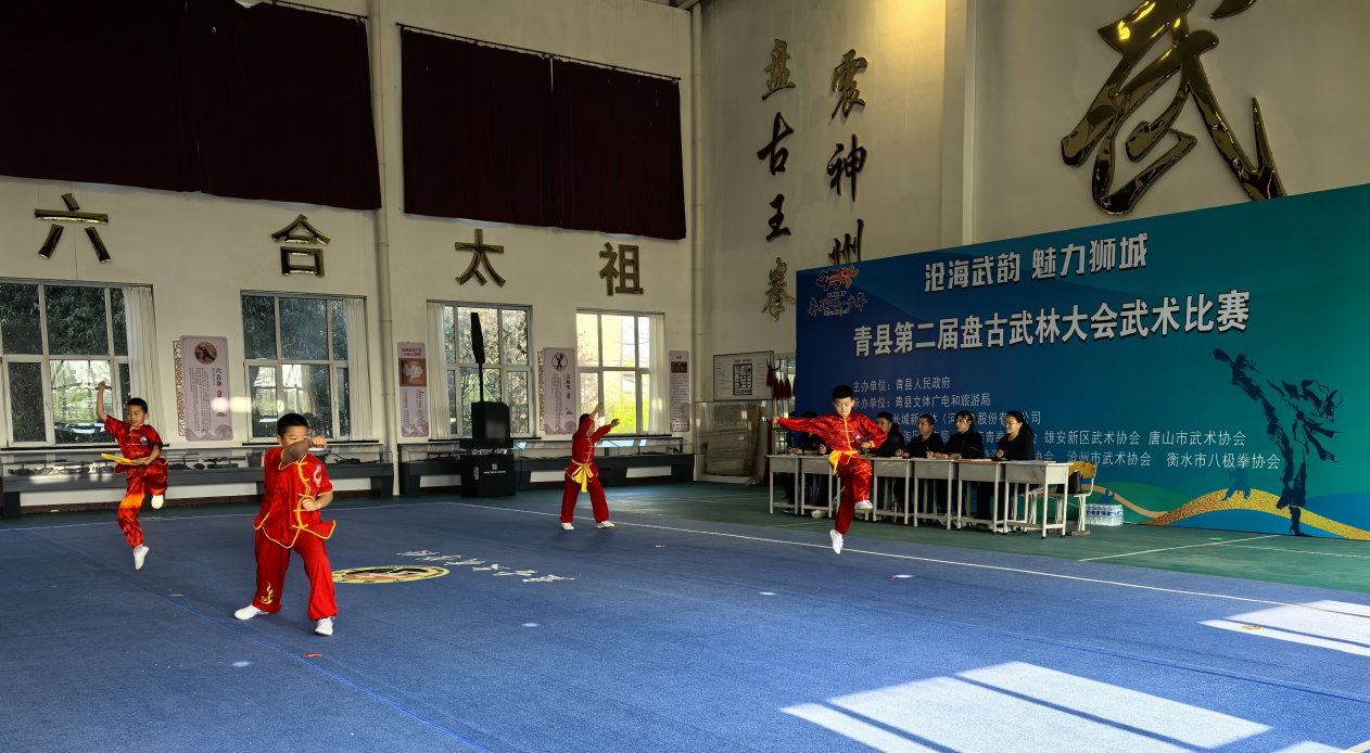 河北青县：以武会友展风采 文化传承启新篇​_fororder_图片2