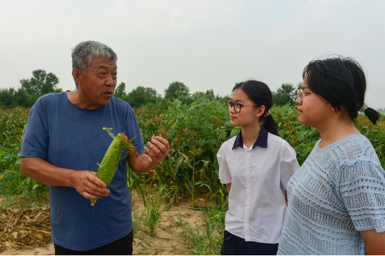 河北沧州：暑假在田间地头寻找青春答案_fororder_河北沧州：暑假在田间地头寻找青春答案750